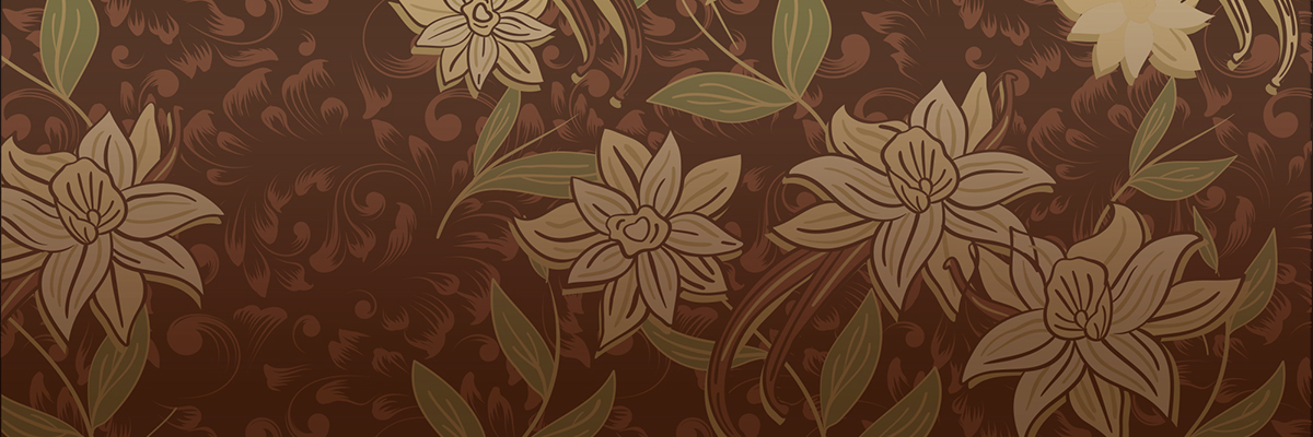 Banner Vanilla-Ginger 1200x400
